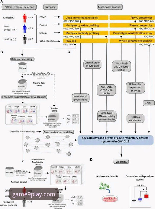 如何评估帕尼切利伤退对阿根廷队战术体系的影响？一次技术角度的深度剖析